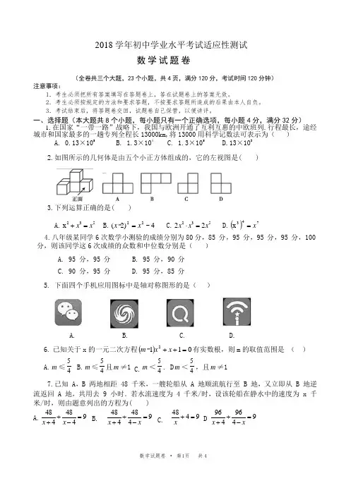 2018年初三中考适应性测试数学试卷