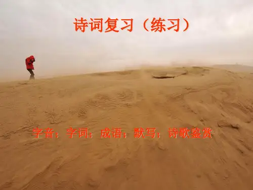 人教课标版  中国古代诗歌散文欣赏之诗词复习(练习)PPT