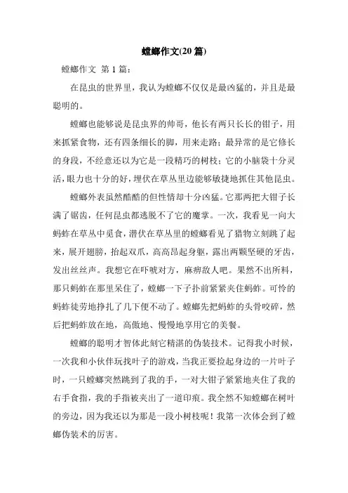 新整理螳螂作文(20篇)