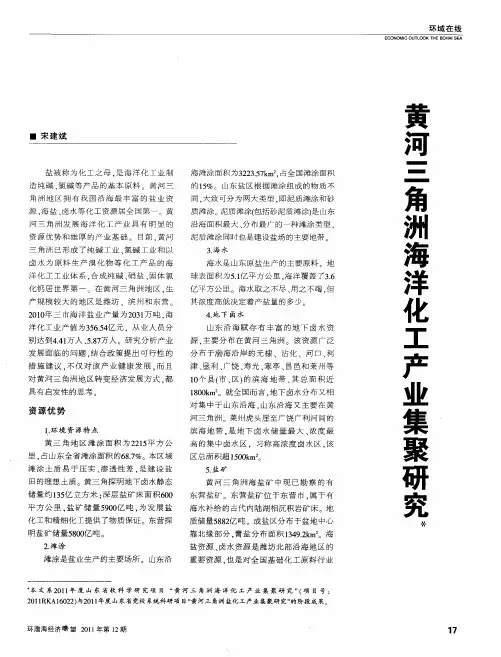 黄河三角洲海洋化工产业集聚研究