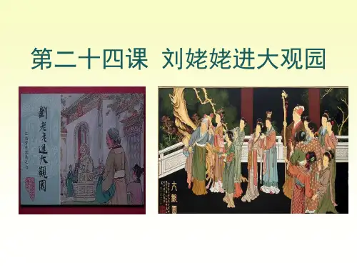 人教部编版九年级语文第课《刘姥姥进大观园》PPT课件