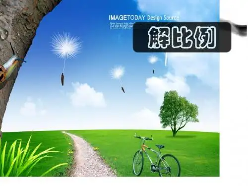 《解比例》课件PPT