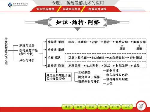 专题1 传统发酵技术的应用