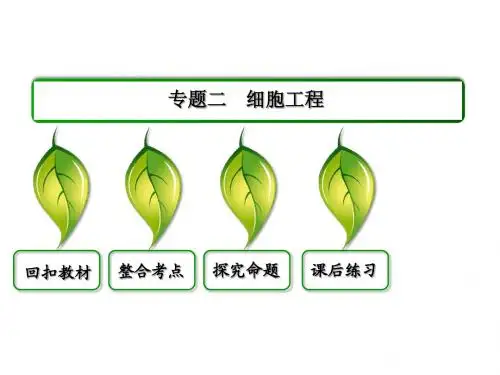 【状元之路】2014高考生物(新课标通用版)一轮复习选3-2 专题二  细胞工程