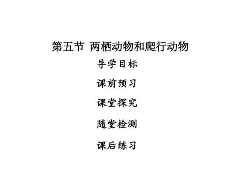 2017-2018学年八年级生物上册课件(人教版)_第五单元第一章  第五节  两栖动物和爬行动物 (共28张PPT)