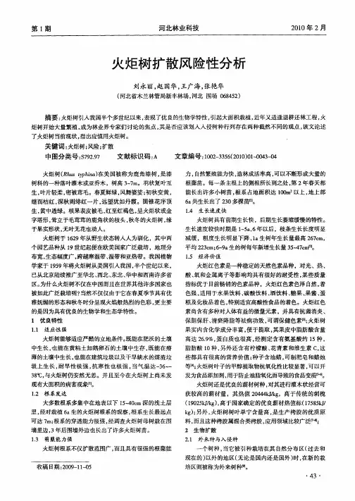 火炬树扩散风险性分析