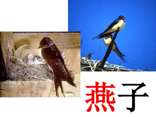 最新部编版三年级语文下册《2 燕子》课件【精校版】