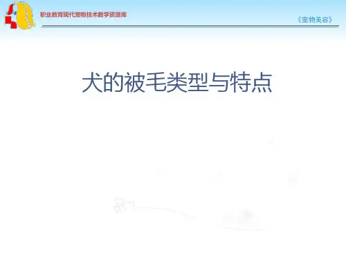 犬的被毛类型与特点.