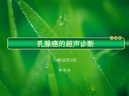 乳腺癌的超声诊断ppt课件