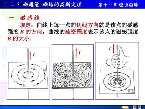 南京邮电大学 大学物理 上 11-3 磁通量 磁场的高斯定理