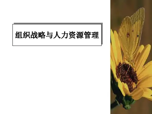 组织战略与人力资源管理