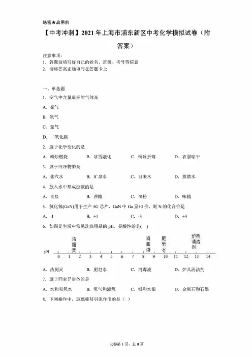 新编新版2021年上海市浦东新区中考化学模拟试卷(含解析)