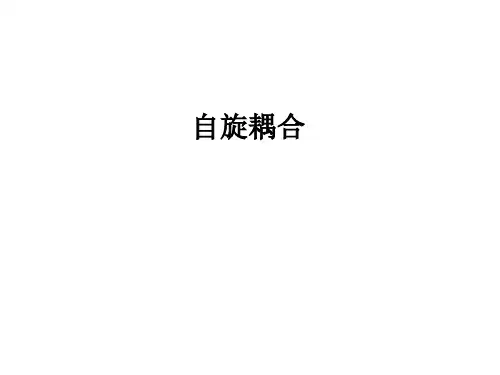 自旋耦合 PPT课件