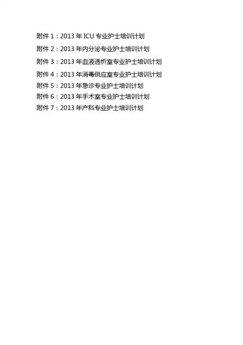 专业护士培训计划