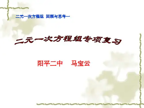 《二元一次方程组》专题复习完整ppt课件