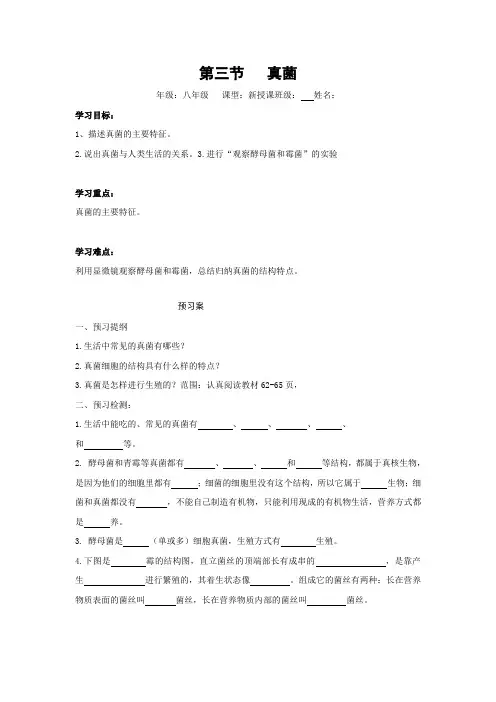 人教版生物-八年级上册-第五单元第四章细菌和真菌第三节真菌学案