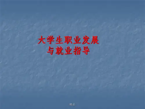 大学生职业素养提升