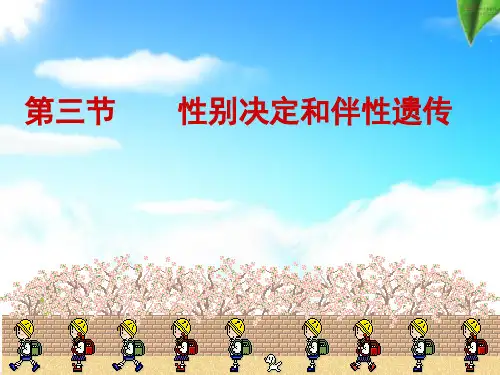 参加过省优质课的精美课件------伴性遗传