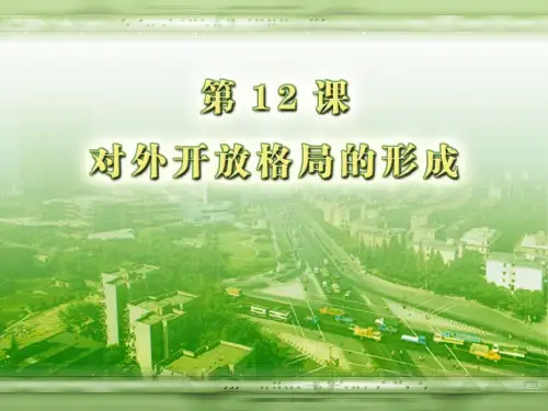 对外开放格局的形成