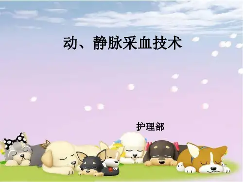 1动静脉采血技术