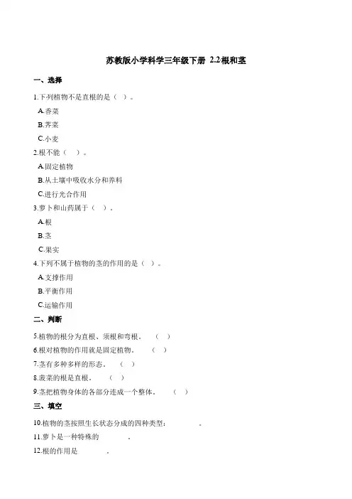 三年级下册科学一课一练 2.2根和茎苏教版(含解析)
