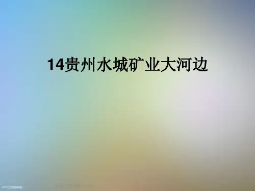 14贵州水城矿业大河边