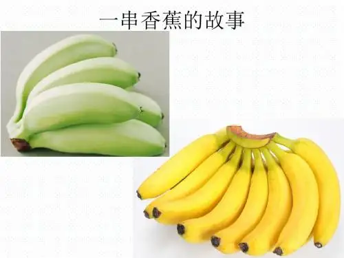 人教版高中化学必修2精品课件第三单元第二节 来自石油和煤的两种基本化工原料