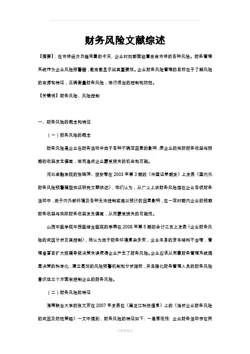 财务风险文献综述