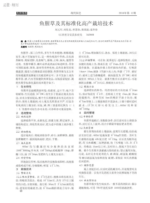 鱼腥草及其标准化高产栽培技术