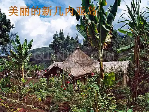食人族
