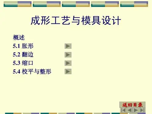 第五章成形工艺与成形模设计