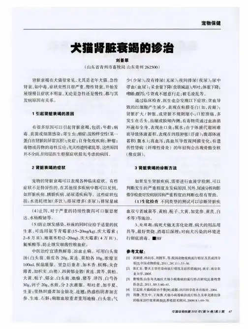 犬猫肾脏衰竭的诊治