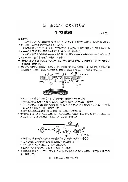 山东省济宁市2020年5月份高三模拟考试生物试题(含答案)