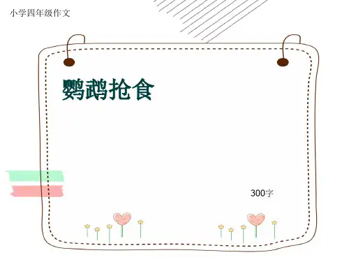 小学四年级作文《鹦鹉抢食》300字(共6页PPT)