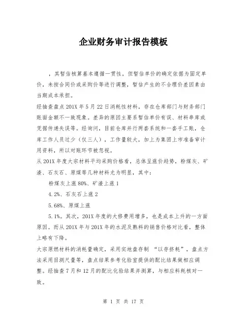 企业财务审计报告模板