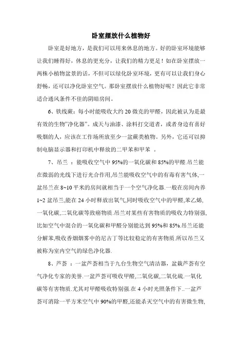卧室摆放什么植物好
