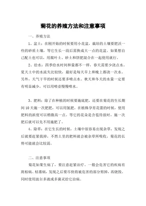 菊花的养殖方法和注意事项_1