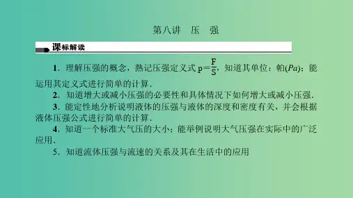 中考物理总复习 第八讲 压强