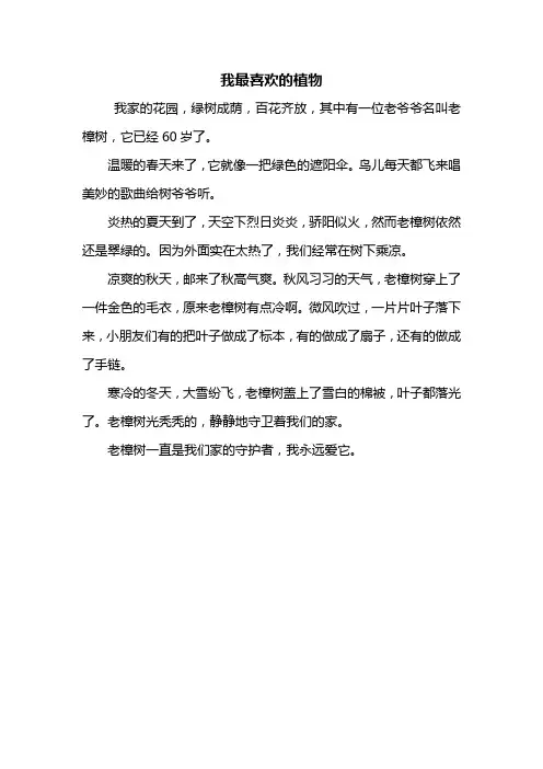 三年级作文：我最喜欢的植物作文300字_1