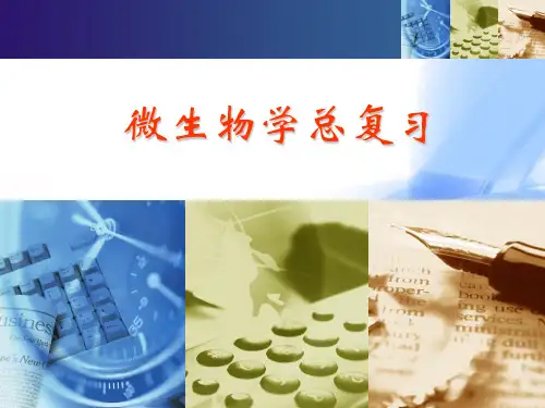 微生物学总复习(上)