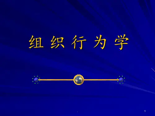 组织行为学PPT课件