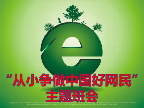 《从小争做中国好网民》主题班会