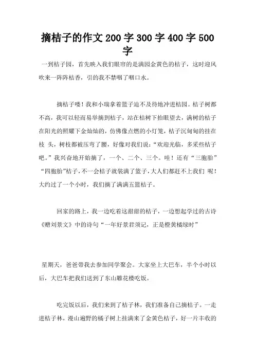 摘桔子的作文200字300字400字500字