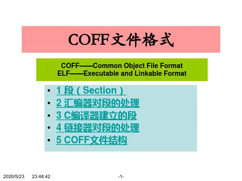 DSP系统实验04New-COFF文件格式