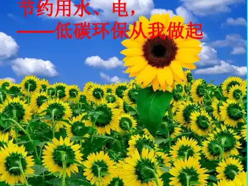 《节约用水电-低碳环保从我做起》PPT课件