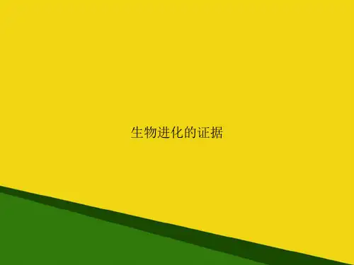 生物进化的证据-推荐优秀PPT