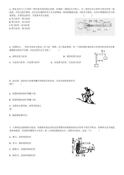 初中物理-杠杆教案