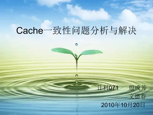 Cache一致性问题分析