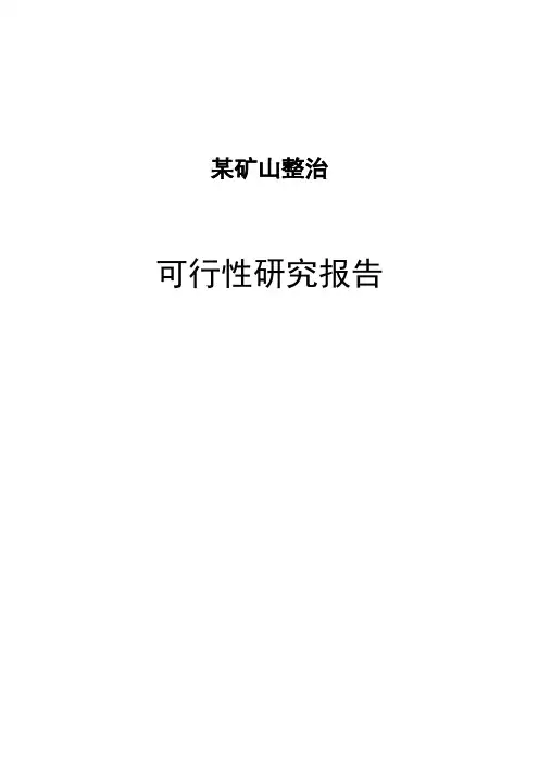 某矿山整治可行性研究报告