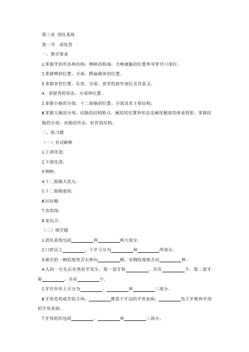 人体解剖学 第三章 消化系统